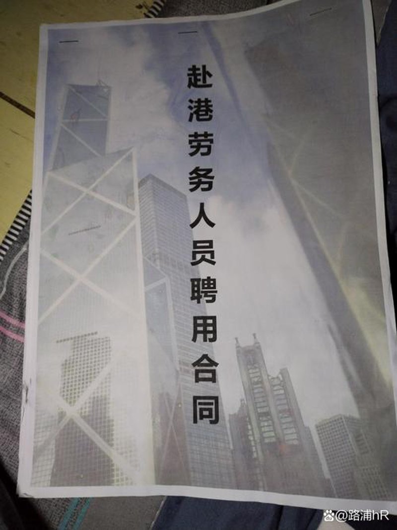 移民咨询行业动态：国际移民趋势与策略指导